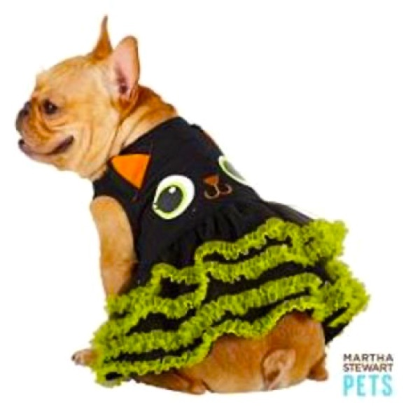 Martha Stuart Pets Medium Dog Breed   Halloween Black Cat Dress - Picture 1 of 5